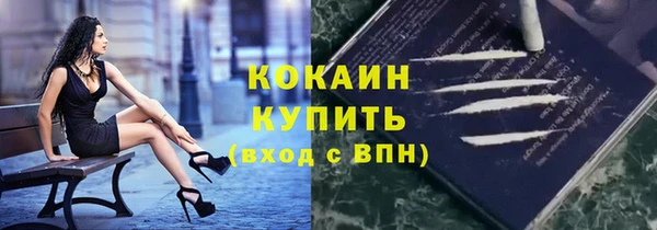 соль ск Абаза