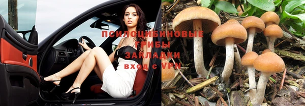 соль ск Абаза