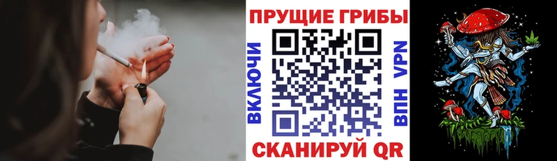 Галлюциногенные грибы Magic Shrooms  мега ссылки  Приморско-Ахтарск 